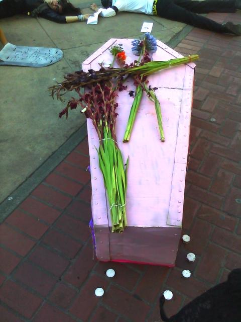 a pink cardboard coffin purple gladioli and violet hyacinth and people staging a die-in